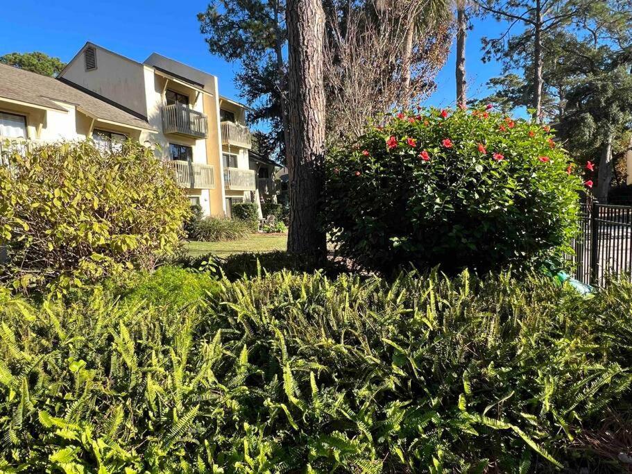 Spacious, Cozy Villa W/Parking In Coligny Villas Hilton Head Island Exterior foto