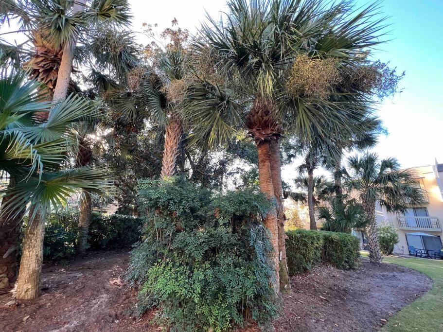 Spacious, Cozy Villa W/Parking In Coligny Villas Hilton Head Island Exterior foto